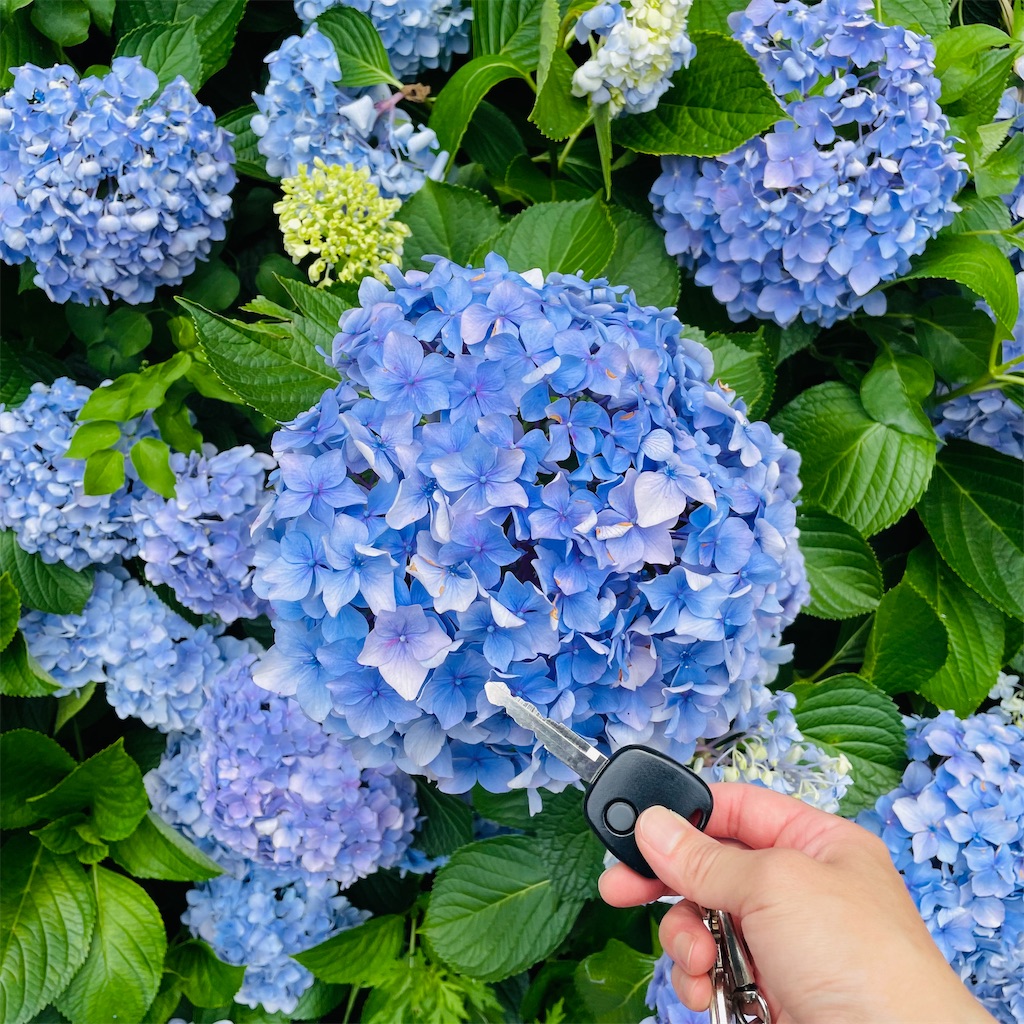 f:id:conakichi:20230623191914j:image