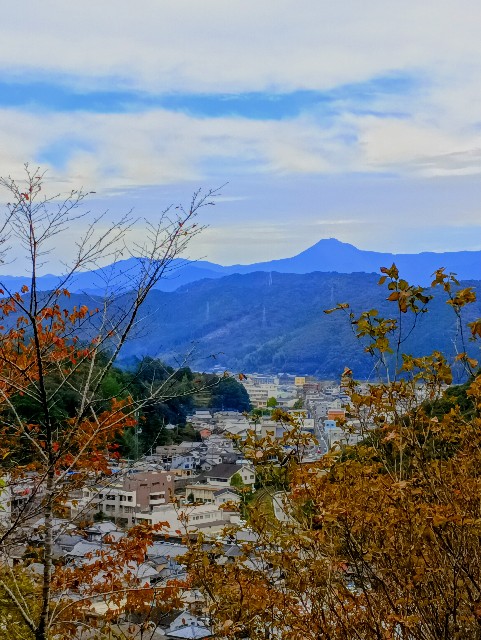 f:id:conakichi:20251111135225j:image