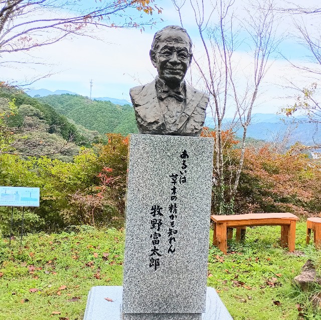 f:id:conakichi:20251111135235j:image