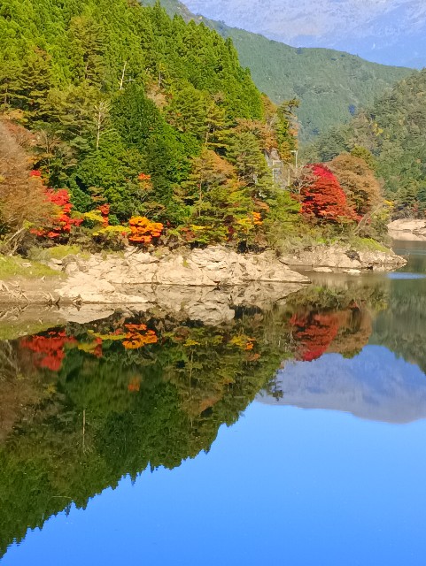 f:id:conakichi:20251116145728j:image
