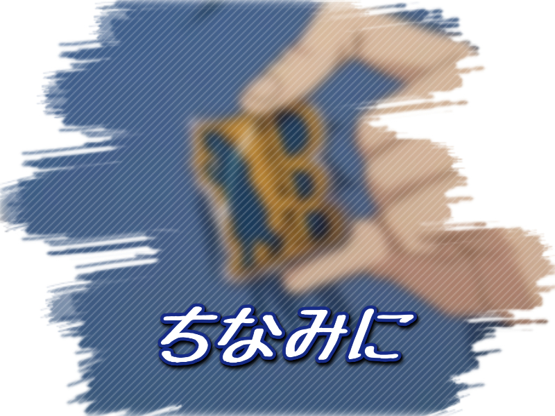 f:id:conandaisuki:20161004135556j:plain f:id:conandaisuki:20161004135556j:plain