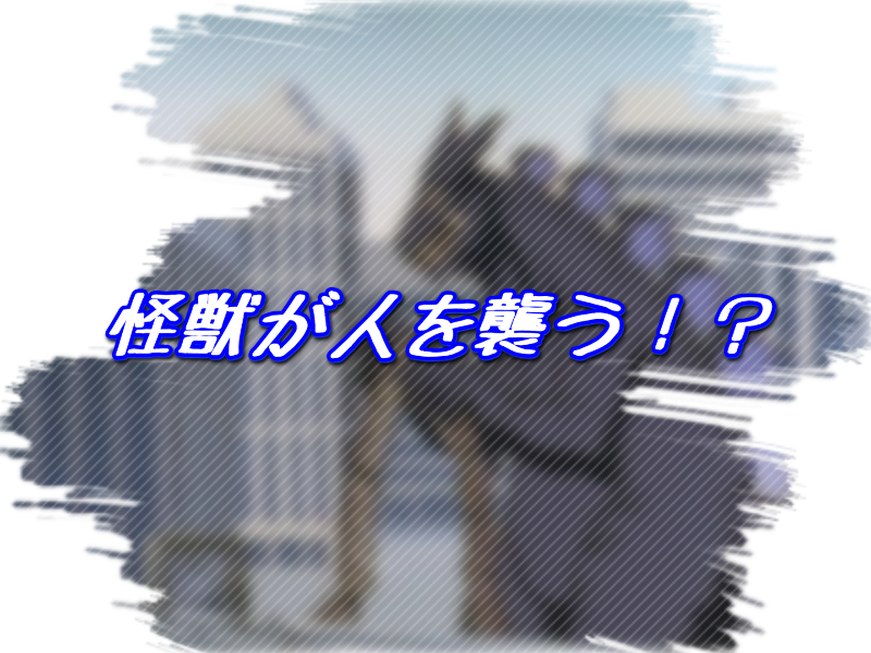 f:id:conandaisuki:20170218071036j:plain f:id:conandaisuki:20170218071036j:plain