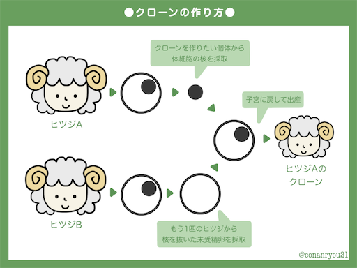 f:id:conanryou21:20230307075316p:image