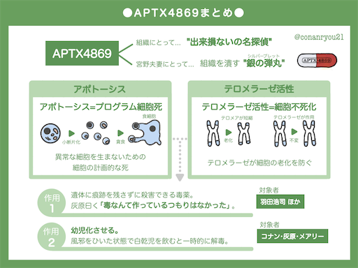 f:id:conanryou21:20250902172347p:image