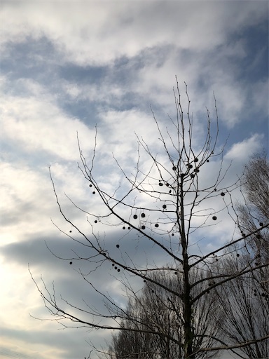 f:id:conasaji:20200309195155j:image