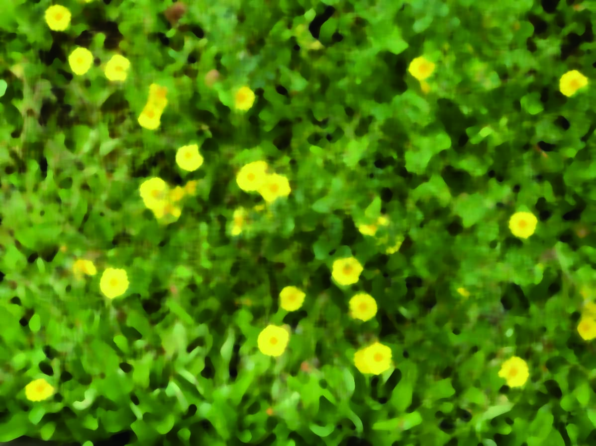 f:id:conasaji:20200507180415j:plain f:id:conasaji:20200507180415j:plain