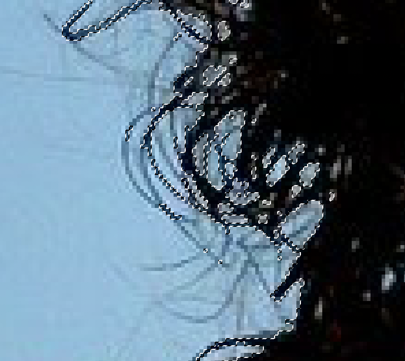 f:id:conasaji:20200617175147p:plain