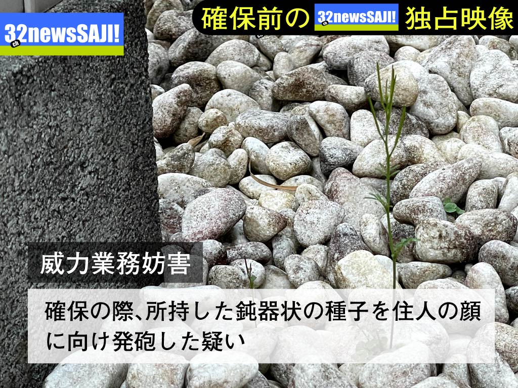 f:id:conasaji:20210327164150j:plain