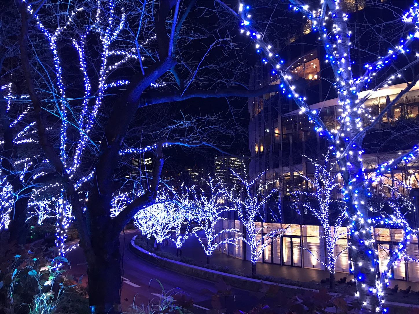 f:id:concerto-marriage:20171226025031j:image f:id:concerto-marriage:20171226025031j:image