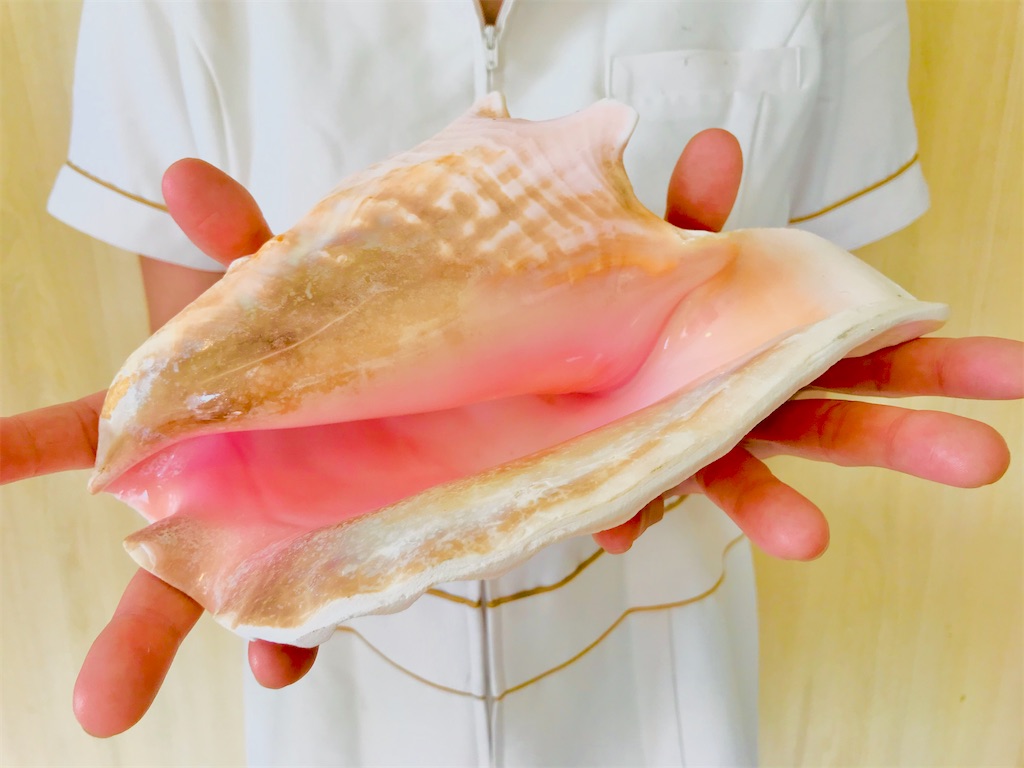 f:id:conch-teruko:20200802131725j:image