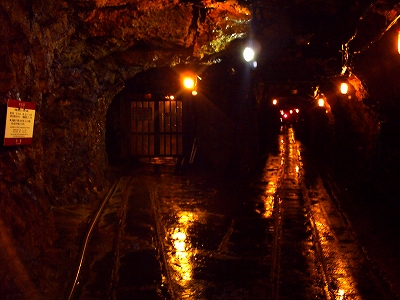 f:id:congiro:20110125112553j:image