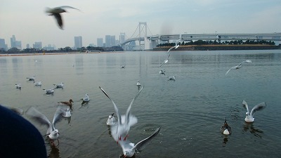 f:id:congiro:20110206001613j:image