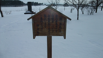 f:id:congiro:20110223160835j:image