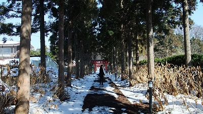 f:id:congiro:20110223160841j:image