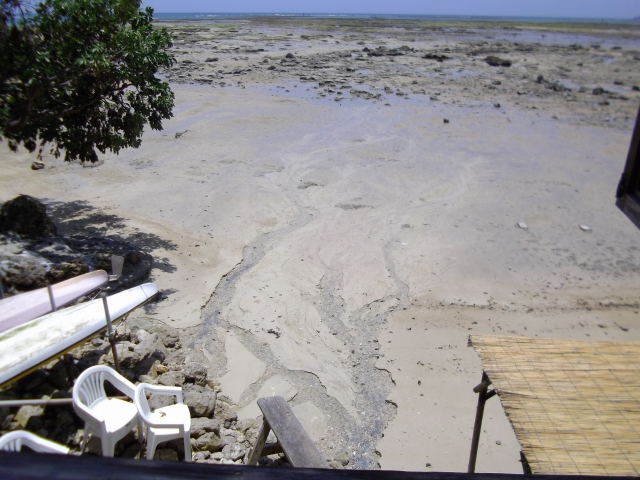 f:id:congiro:20110606132428j:image