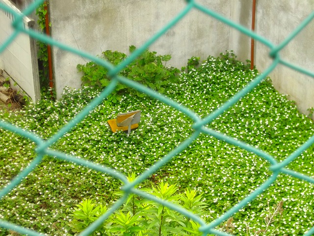 f:id:congiro:20110612233309j:image