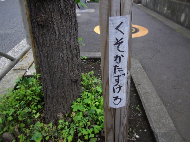 f:id:congiro:20110628133926j:image
