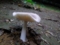 20110703004808