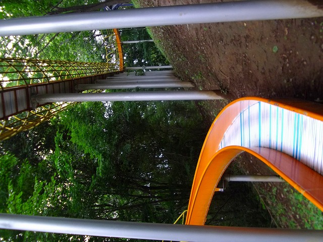 f:id:congiro:20110703004810j:image