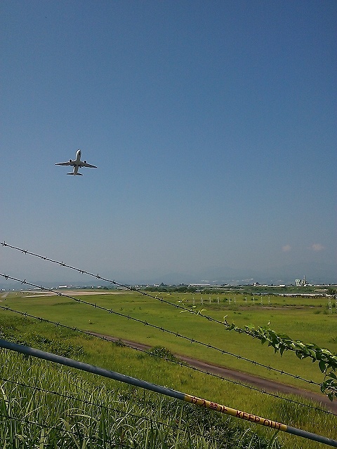 f:id:congiro:20110719223157j:image