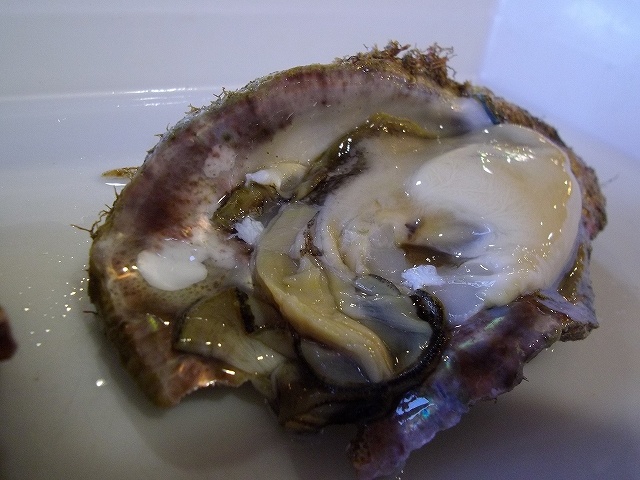 f:id:congiro:20110719224806j:image