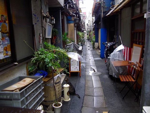 f:id:congiro:20110731230948j:image