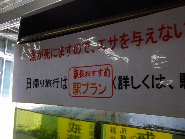 f:id:congiro:20110815142845j:image
