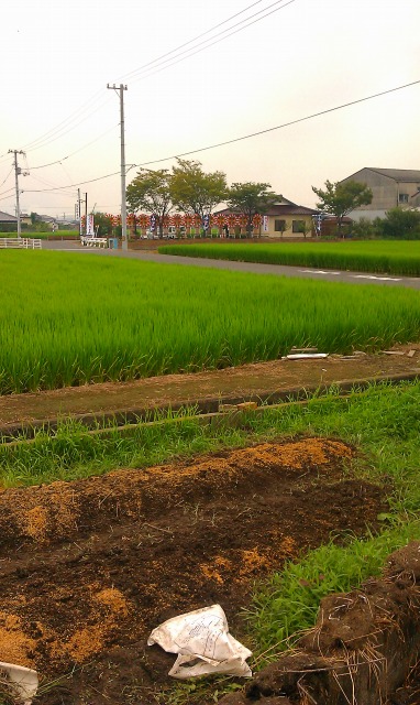 f:id:congiro:20110902015243j:image