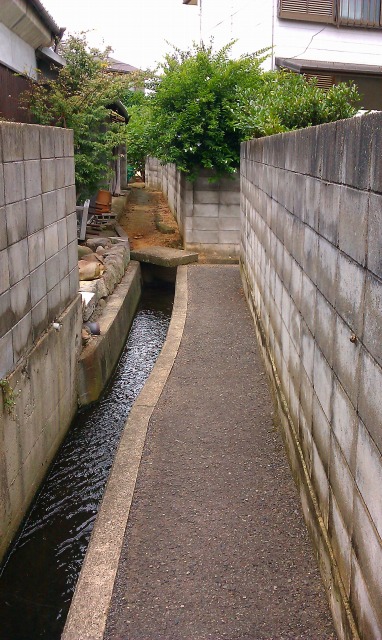 f:id:congiro:20110902015248j:image