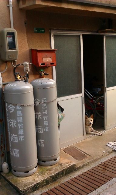 f:id:congiro:20110902015529j:image