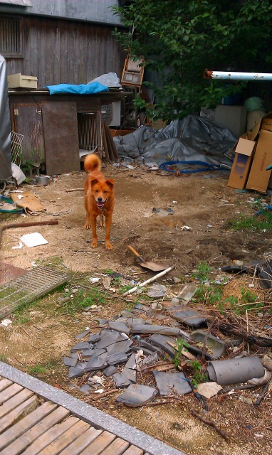 f:id:congiro:20110902015530j:image