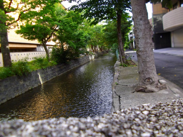f:id:congiro:20110902015537j:image