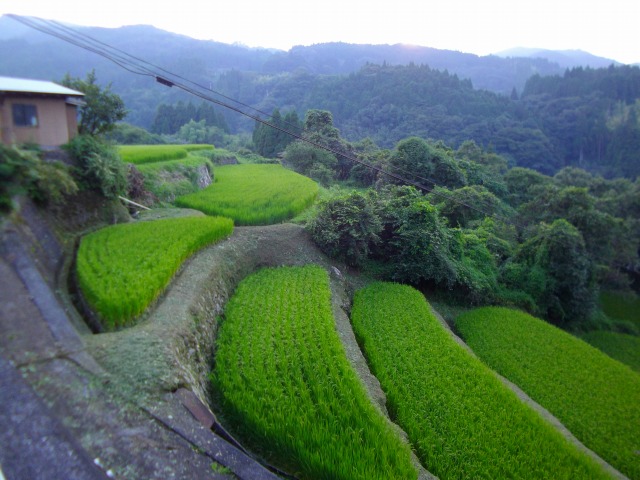 f:id:congiro:20110902021111j:image
