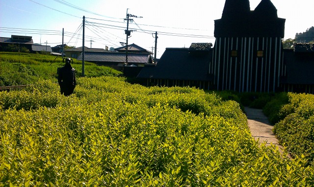 f:id:congiro:20110902021442j:image