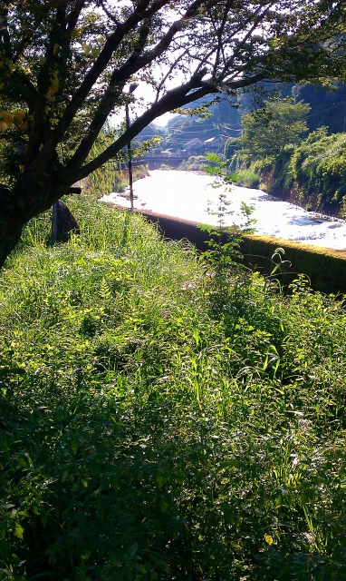 f:id:congiro:20110902021444j:image
