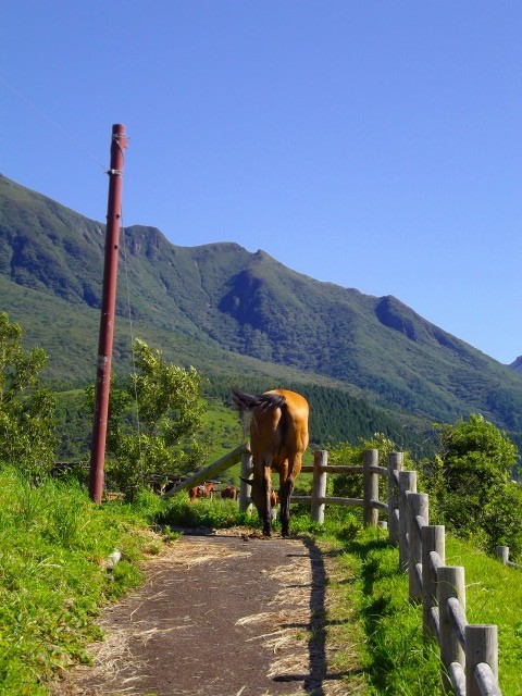 f:id:congiro:20110902021449j:image