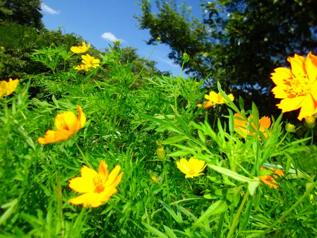 f:id:congiro:20110902021453j:image
