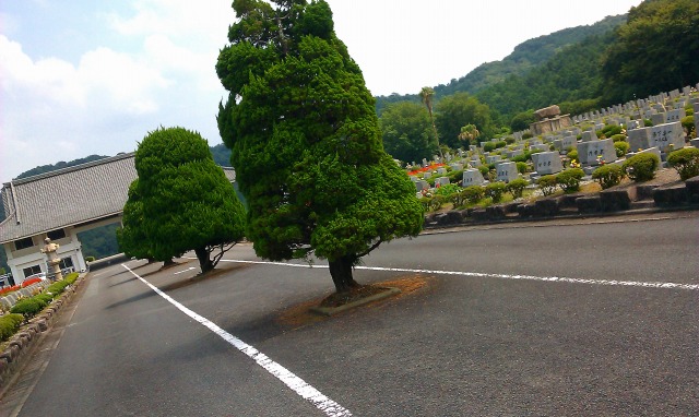 f:id:congiro:20110902022210j:image