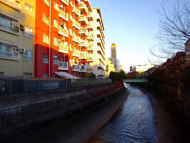f:id:congiro:20111205181520j:image