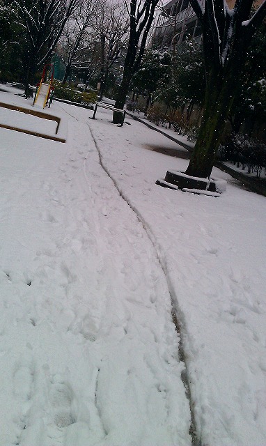 f:id:congiro:20120301132217j:image