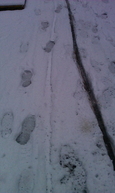 f:id:congiro:20120301132218j:image