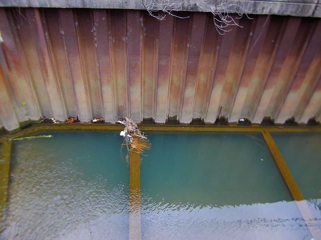 f:id:congiro:20120304210801j:image