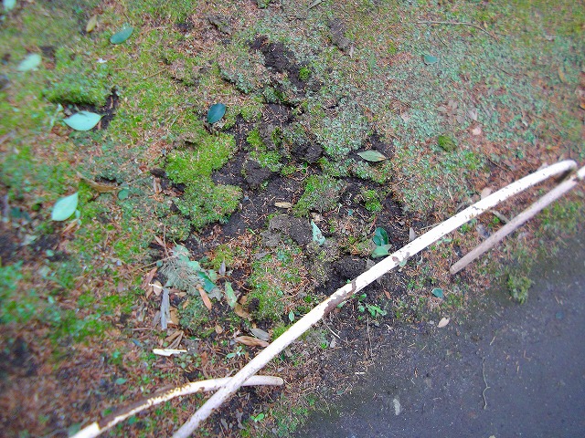 f:id:congiro:20120304210809j:image