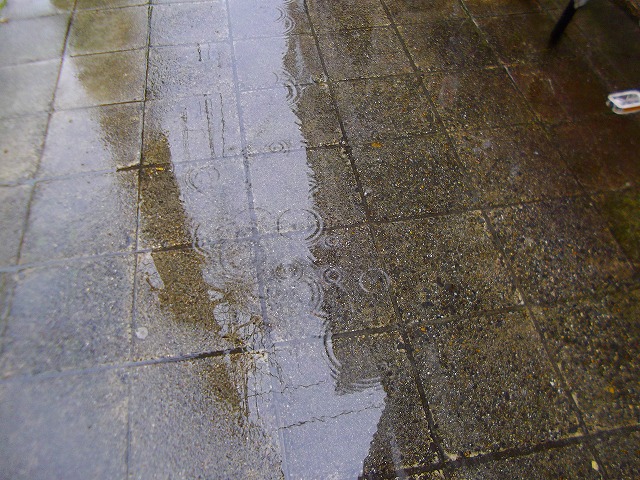 f:id:congiro:20120321113631j:image