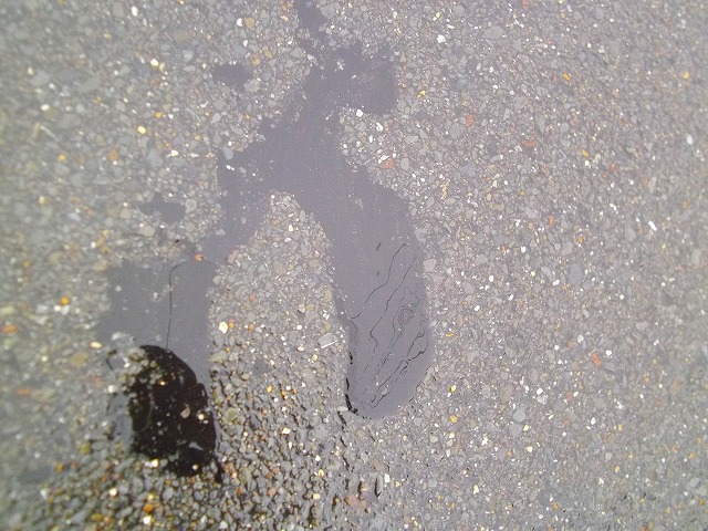 f:id:congiro:20120321113636j:image
