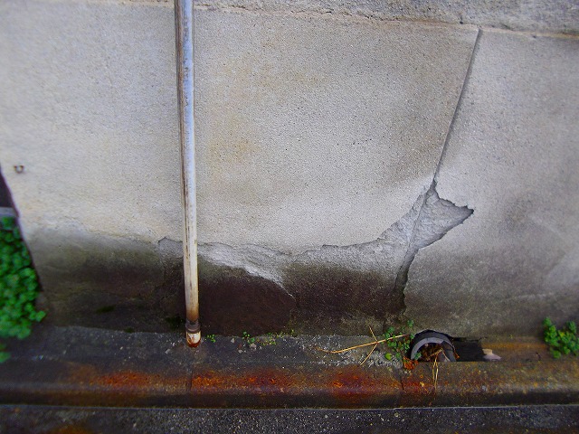 f:id:congiro:20120321113648j:image