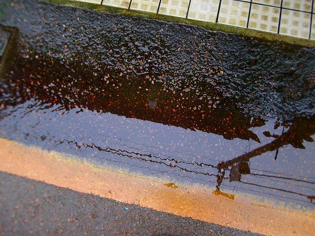 f:id:congiro:20120321114004j:image f:id:congiro:20120321114004j:image