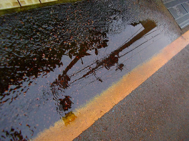 f:id:congiro:20120321114005j:image f:id:congiro:20120321114005j:image