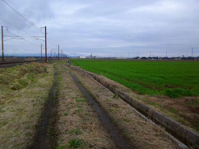f:id:congiro:20120321114015j:image f:id:congiro:20120321114015j:image