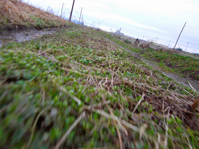 f:id:congiro:20120321114016j:image f:id:congiro:20120321114016j:image